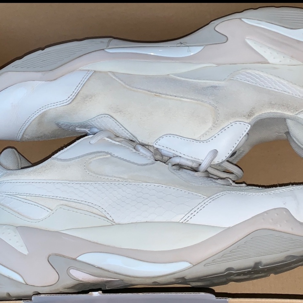 Puma spectrum
